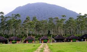 Harga tiket masuk ranca upas cwidey bandung. 10 Foto Ranca Upas Bandung Agustus 2021 Tiket Masuk Wisata Harga Camping Ground Sewa Tenda Prewedding Jejakpiknik Com