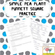 We are finishing off the topic of inheritance today. Punnett Square Monohybrid Worksheets Teaching Resources Tpt