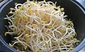 Soia Alimento Wikipedia