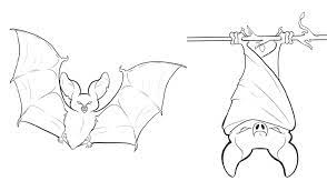 Bat Coloring Pages Printable K5 Worksheets Bat Coloring Pages Coloring Pages Bat Animal