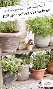 Krautergarten Anlegen Fur Kuche Garten Balkon In 2020 Krautergarten Anlegen Krautergarten Balkon Pflanzen