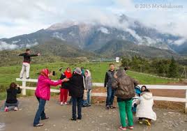 Desa cattle dairy farm kundasang sabah kundasang •. Desa Cattle Dairy Farm And Milk Of Sabah Mysabah Com
