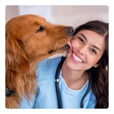 Curso de Auxiliar Veterinário Clickvet