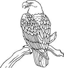 If you're looking for free printable coloring pages and coloring books, then you've come to the right place!our huge coloring sheets archive currently comprises 48732 images in 785 categories. Bald Eagle Coloring Page Animals Town Animals Color Sheet Bald Eagle Printable Coloring