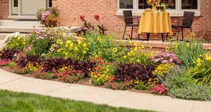 Bobo ® hydrangea is engulfed by large white flowers in summer. What S New Proven Winners 2020 Selection English Gardens