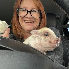 Can I give my dog melatonin for nesting behavior?