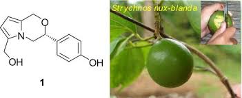 Image result for Strychnos gossweileri