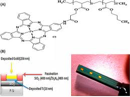 Target size a metal detector can detect larger targets deeper than smaller ones. Citrate Selective Electrochemical M Sensor For Early Stage Detection Of Prostate Cancer Sciencedirect