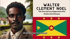 Walter Clement Noel: The Unsung Hero of Medical History