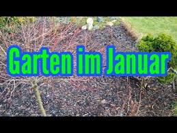 Garten Im Januar Welche Gartenarbeiten Im Januar Zu Tun Sind Gartenpflege Im Januar Youtube In 2020 Gartenarbeit Gartenpflege Garten