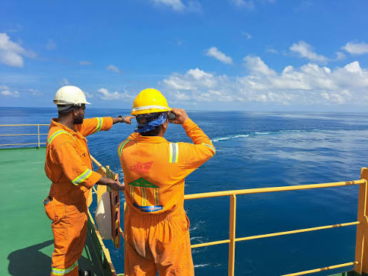 How Environmental Compliance Audits Services Help Reduce Business Risks