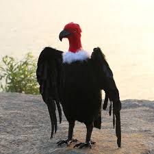 Realistic Animals Bird Vulture Model Figurine Statue Scupltue Decor Dark  Red Sculptures & Statues