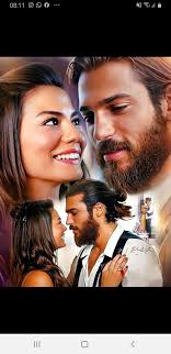 Appreciation and discussion of Cardinal birds