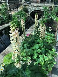 Image result for tbn:0PJB32OL7JwfOM::farm4.static.flickr.com/3324/3329876139_f2d551139f.jpg