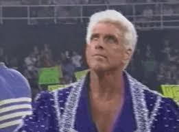 This was a high flying, hard hitting affair that had ringside antics from luther and hilarious commentary. Pin On Nature Boy Ric Flair Richard Morgan Fliehr Birth Name Fredrick Phillips Memphis Tn February 25 1949 Wooooooo