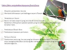 Kempen menentang pembalakan haram & keterlaluan timbulkan kesedaran tentang kepentingan pemeliharaan dan pengekalan sumber asli Kepupusan Flora Flauna Name Pok Jie Enn Koo