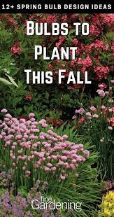 12 Spring Bulb Designs To Plant Now Fall Flowers Garden Spring Bulbs Garden Bulbs
