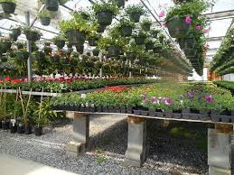 As we continue to shift from larger suburban properties to smaller urban housing, outdoor space is ever changing and large gardens are hard to. Start Your Own Plant Nursery For Profit Business Plan Sample Makeinbusiness Com