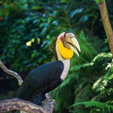 The wonderfully detailed watercolour illustration perfectly captures the birds' amazing plumage. I Just Completed This Puzzle In Jigsaw Puzzles Epic Jigsawepic In 2020 Bird Pictures Jigsaw Puzzles Pictures