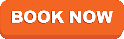Book Now Orange Images &ndash; Browse 1,071 Stock Photos, Vectors, and Video | Adobe Stock