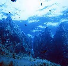 Смотреть что такое schnorcheln в других словарях: Tauchen Schnorcheln In Ustica Entdecken Sie 10 Tauchen Schnorcheln In Ustica Tripadvisor