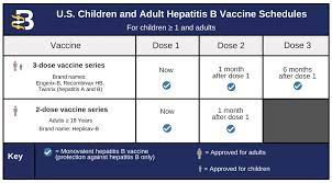 Apr 12, 2018 · the hepatitis b vaccine — sometimes known by the trade name recombivax hb — is used to prevent this infection. Hepatitis B Foundation Hepatitis B Vaccine Schedules