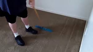 Or you can rake your carpet before a deep cleaning to. 5 Best Carpet Rakes To Fluff Carpet Home Decor Bliss