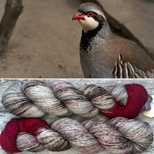 Image result for Alectoris rufa