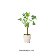 Plant Gardening Flower Pot View Seedlings Flower Pot Plant Vector Plants Plant Vector Flower Pot Garden