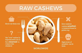 We did not find results for: Why Aren T Raw Cashews Found In Stores Quora