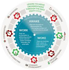 Levers To Move Organizations Through The Race Equity Cycle Equity Racial Important Life Lessons