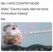 Last week it was cat bunny ears. Country Roads Cat Meme West Virginia Cat Meme In 2021 Cat Memes Country Roads Funny Animal Quotes
