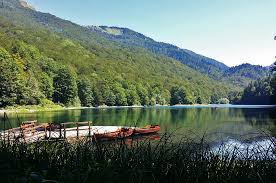 The largest part of the park is a reserve of rainforest biogradska gora, which together with the rainforests of. National Park Chalet Kolasin Montenegro