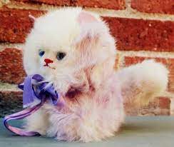 Vintage Real Fur Kitten Stuffed Animal Cutest Kitty Ever Kitten Stuffed Animals Cute Cats Kitten