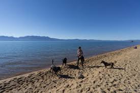 Pet friendly north lake tahoe hotels and motels are listed below along with the pet policy if available. How To Spend A Day In South Lake Tahoe With Your Dog