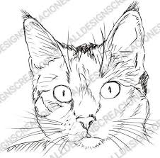 Black And White Cat Drawing Png Gato Cat Svg Png Pdf Eps Jpeg Ai Etsy In 2020 Cat Face Drawing Animal Drawings Cat Sketch