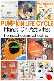 Preschool Life Cycle Of A Pumpkin Printable For Fall