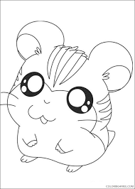Check spelling or type a new query. Cute Hamster Coloring Pages For Kids Coloring4free Coloring4free Com