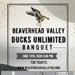 Beaverhead Valley Ducks Unlimited Banquet