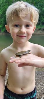 Watch out for wildlife!"⚠️ This baby softshell turtle was found crossing  the road at TNC's Disney Wilderness Preserve in central Florida. Photo by  TNC Center for Conservation Initiatives outreach and volunteer specialist,