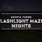 Flashlight Maze Nights