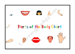 Body parts in tamil for kids. Parts Of The Body Chart For Kids Learningprodigy Charts