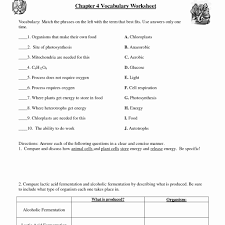 Cellular respiration & cell energy. Cellular Respiration Worksheet Key Nidecmege