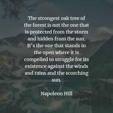 Great quotes quotes to live by me quotes inspirational quotes rob hill quotes hills quotes love is hard quotes motivational feeling stressed. 43 Famous Quotes And Sayings By Napoleon Hill