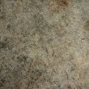 Cleans small and large spills. Removing Oil Spills From Your Driveway Thriftyfun