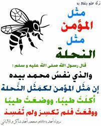 pin by الأثر الجميل on أحاديث نبوية islamic messages hadith ahadith