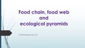 D) introduce the concept of interdependence using examples and stories. Food Chain Food Web And Ecological Pyramids Online Biology Notes
