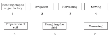 Ncert Q10 Arrange The Boxes In Proper Order To Make A Flow