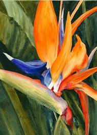 Abstract Bird Of Paradise Watercolor Pin By Gayle Mcculloch On Art My Watercolour Paintings Floral Watercolor Flower Painting Floral Painting