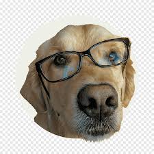 Page 176 | Animal Care png images | PNGEgg
